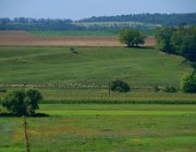 20140809095432-IMG 5022