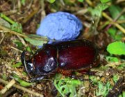 20140809235014-IMG 5095m