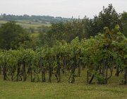 20140810092914-DSCN3220