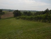 20140810092920-DSCN3221