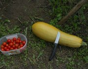 20140810095531-DSCN3232