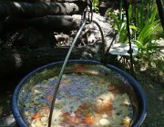  03-02-20140607-Val-031