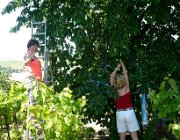  04-01-20140607-Val-023