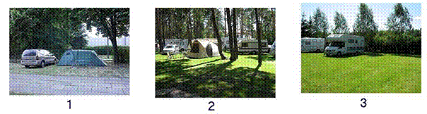 CAMP-PL-Pic.jpg